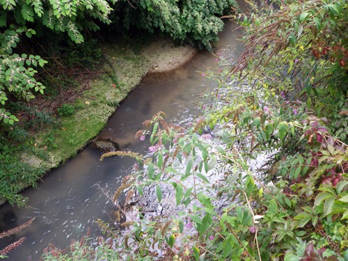 Une pollution de plus ! 510