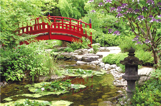 Jardins et Musiques du Japon Jardin10