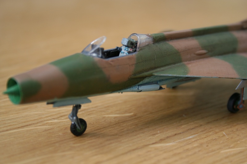 MIG21 F13 Fishbed  [REVELL] 1/72 - Page 2 Img_0019