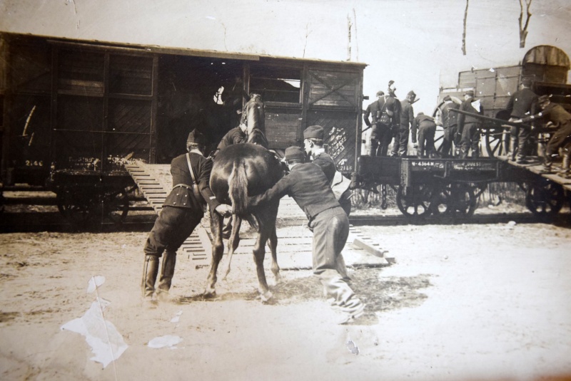 Photo militaires cavalerie chevaux Dsc_1319