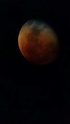 Eclipse totale de Lune - 28 septembre 2015 Eclips11