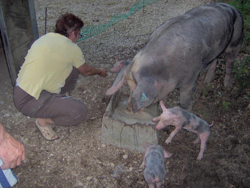 fotos cochonnes de moi et Chantal Im000617