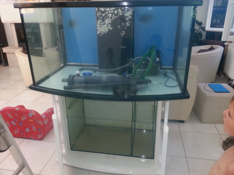 Beluga 550 litres 20150611