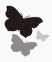 Brushes Papillons & Fleurs/Feuilles | ( 107 ) A440e210