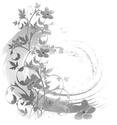 Brushes Papillons & Fleurs/Feuilles | ( 107 ) Circle11