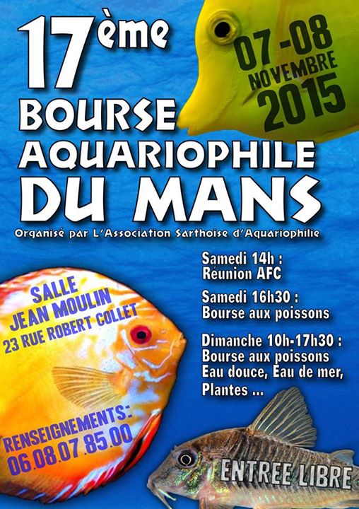 2015 - bourse du mans novembre 2015 12096310