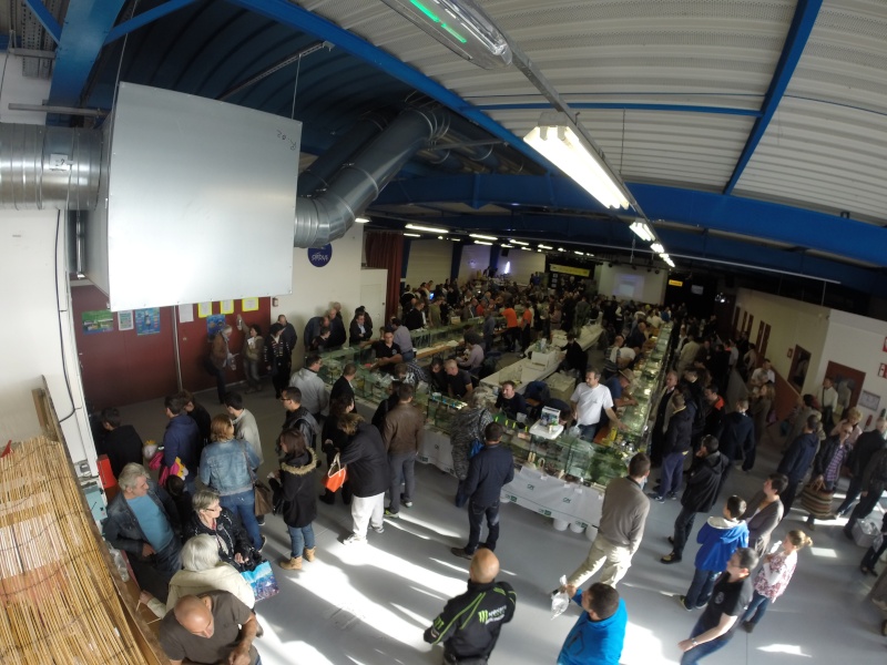 La bourse de Nantes 2015 en photos et vidéos. Gopr0410