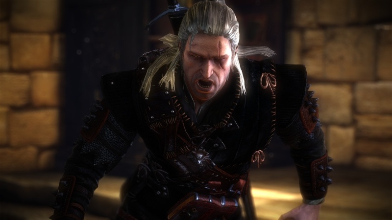[PC] The Witcher 2 The-wi10