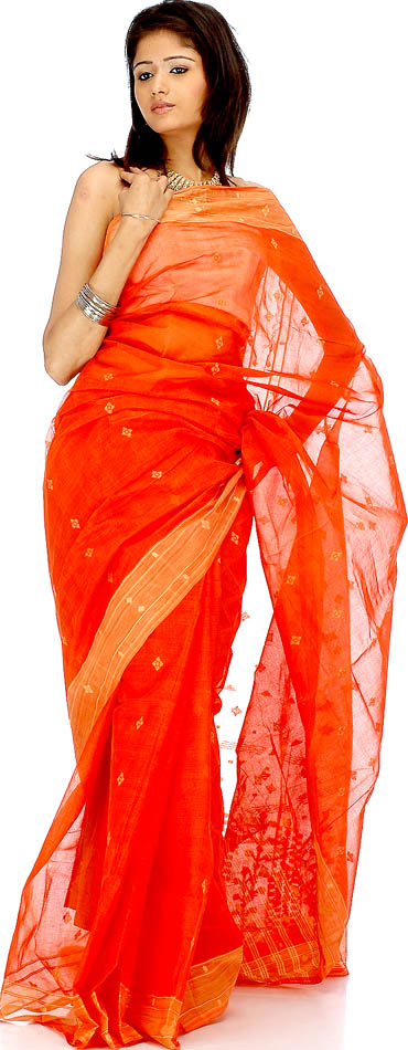 L'Inde et les Saris Orange11