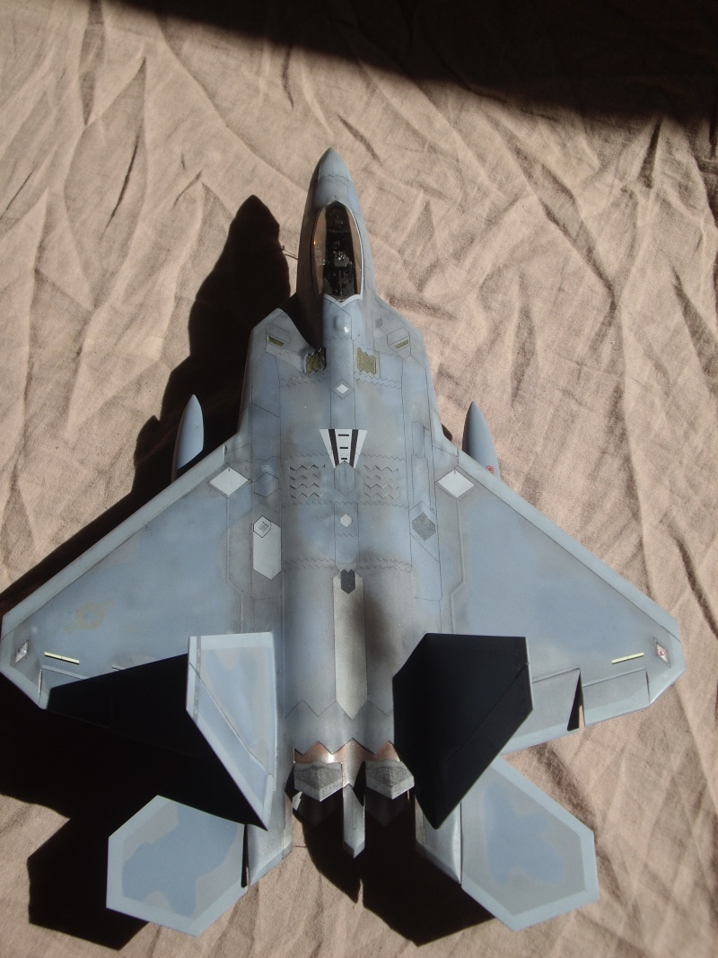 F-22 RAPTOR Academy (qu'a fait la guerre....) Imgp4614