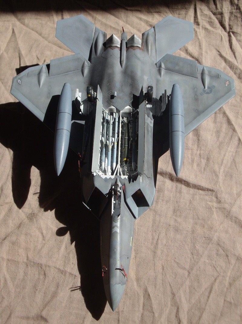 F-22 RAPTOR Academy (qu'a fait la guerre....) Imgp4615