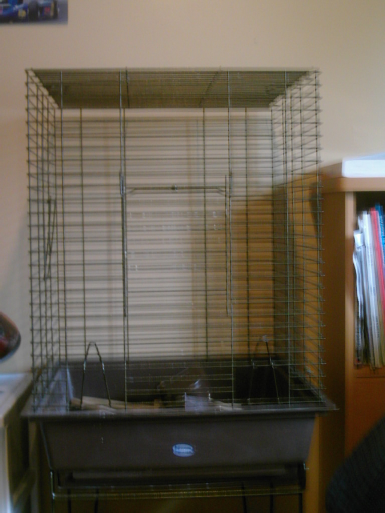 cage  rat Dsci0310