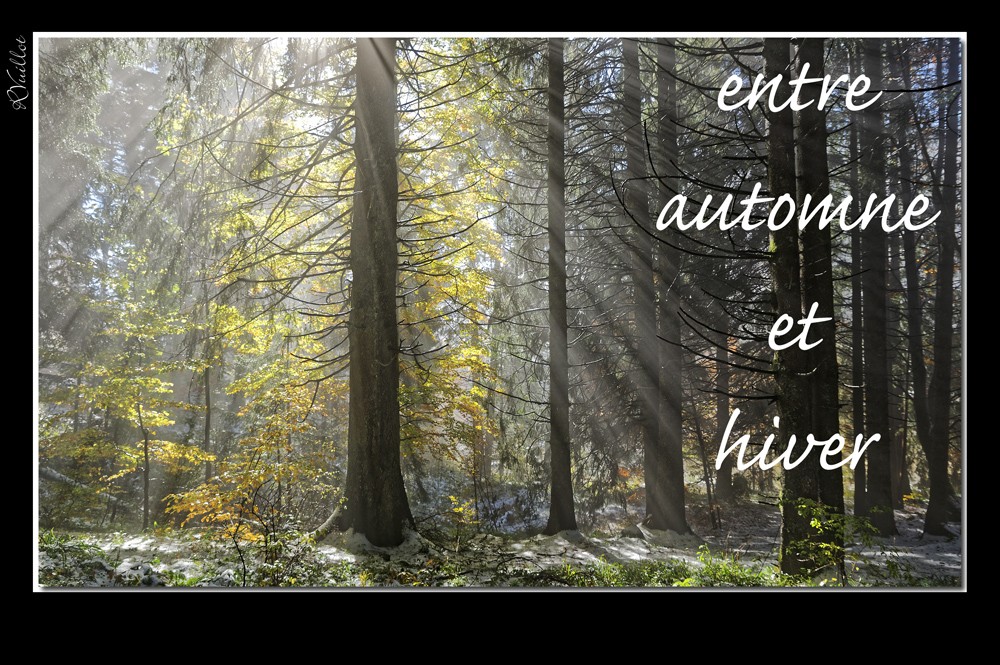 Entre automne et hiver (38) 17 et 18 oct 2015 15-10-33