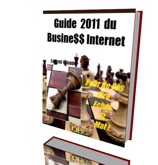 LE GUIDE 2011 du Busine$$ Internet GRATUIT!!! Cover10