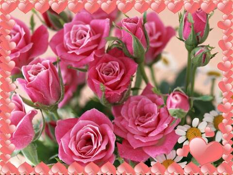 Bonne Anniversaire Josiane Bonne Anniversaire Josiane