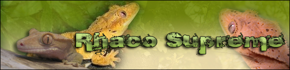 Demande de Bannière svp Gecko211