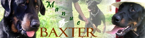 Règles du forum Baxter10