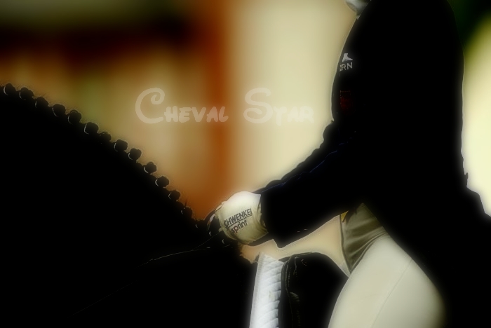 cheval star