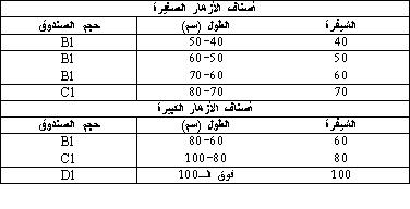 زراعة الورد والجلاديول تحت الأغطية 1110