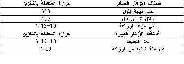 زراعة الورد والجلاديول تحت الأغطية 810