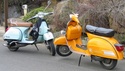 Resto du 160cc Untitl10