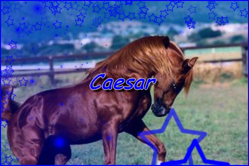 Caesar Caesar10