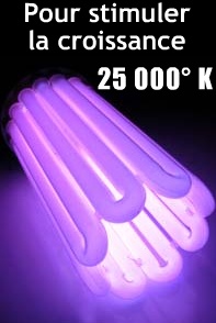 Les lampes fluo et lampes sodium 25000_10