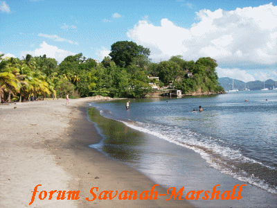 MADIANA PLAGE - SCHOELCHER - NORD CARAIBES Madian10