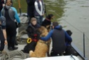 Exercice de sauvetage avec les chiens d'eau... Imgp0411