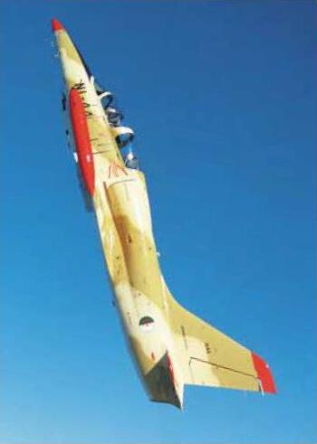 صور للقوات الجويه الجزائريه L-39_d10