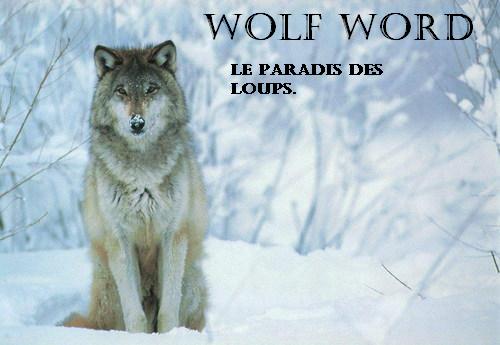 Wolf word