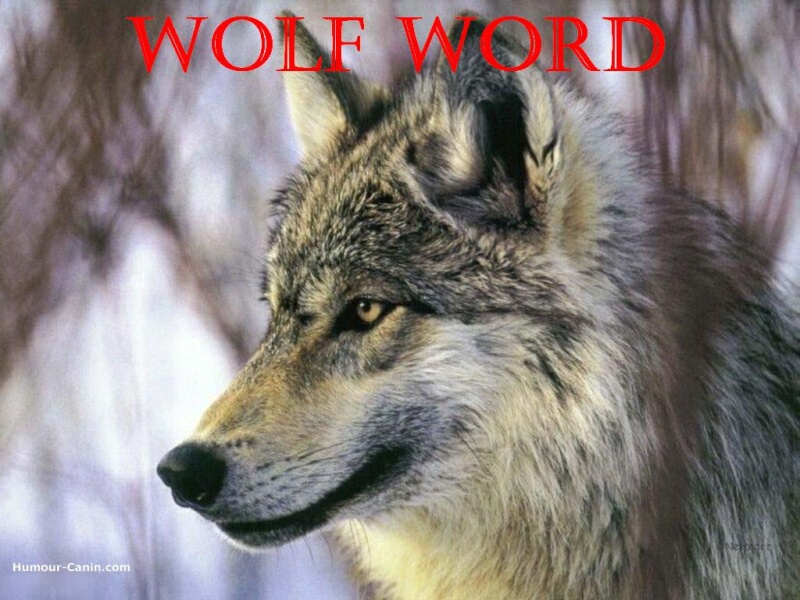 Wolf word