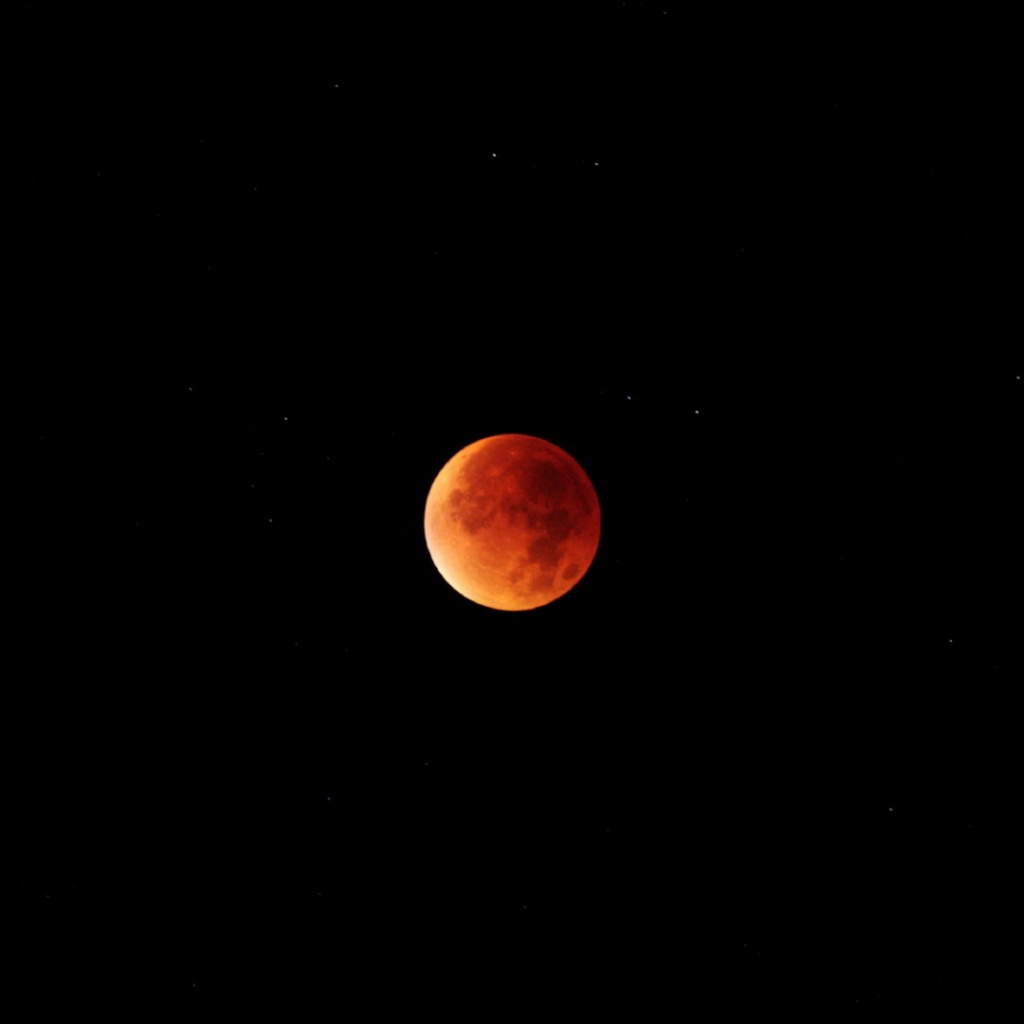 Eclipse de Lune du 28 septembre 2015 Eclips10