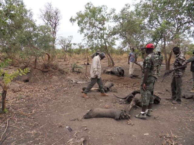 Burkina 2011... - Page 2 Sdc10512