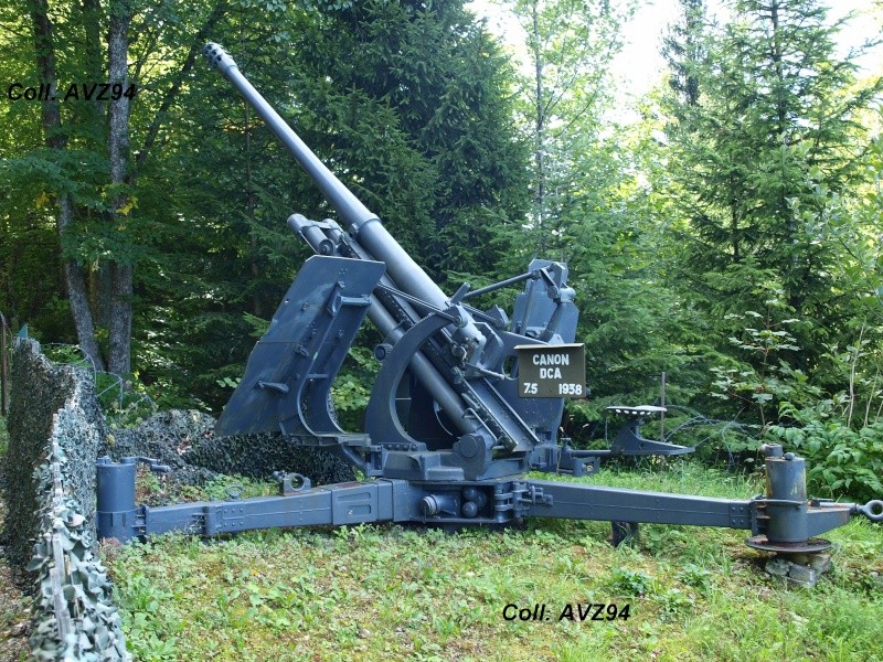 Canons de l'armée Suisse P8281711