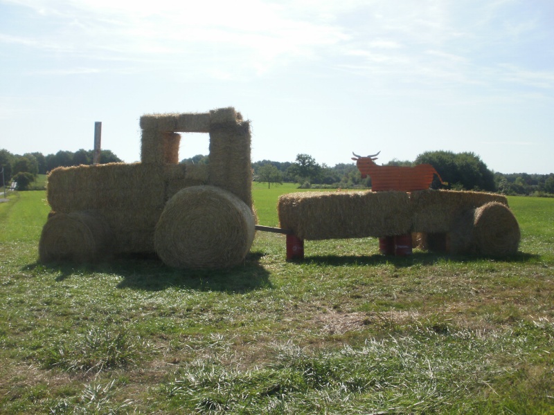 Thiviers 2015 en dordogne  P7093911