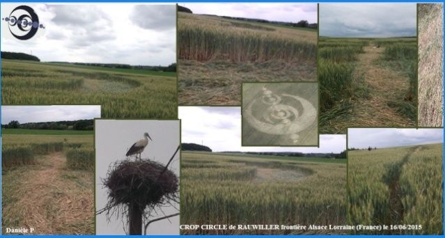 LES CROP CIRCLES............... QUELLE AVENTURE !!! - Page 4 Crop_c14