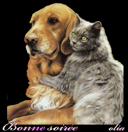 bonjour,bonsoir du mois de septembre - Page 3 35310