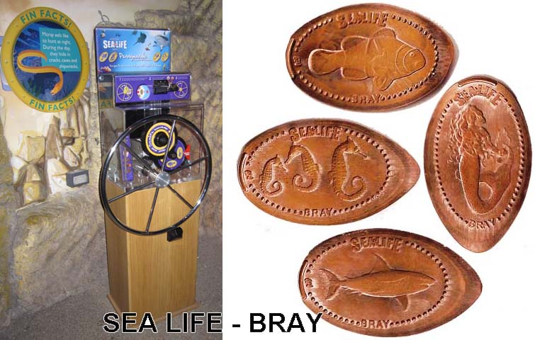 Bray  [Sea Life] Bray10