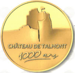 Talmont-Saint-Hilaire (85440) Chatea15