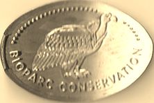 Elongated-Coin = 25 graveurs Douy10