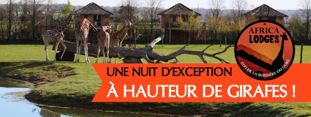 La Boissière du Doré (44430)  [UEPY] Girafe10