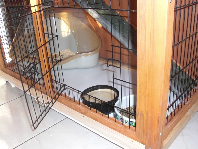 Conseil aménagement cage lapins Cimg3412