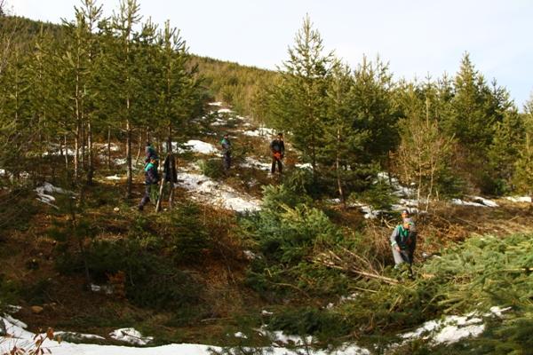 Bosna Hersek Ekibi Daday Ormanlarını Gezdi [26.02.2011 00:00] 10_jpg10