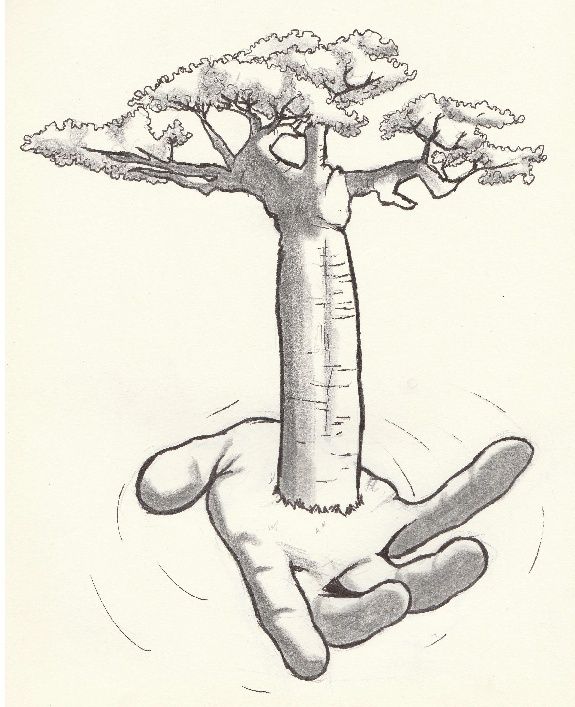 Un baobab dans la main Baobab11