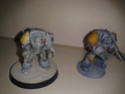 vente de space wolves 2015-140