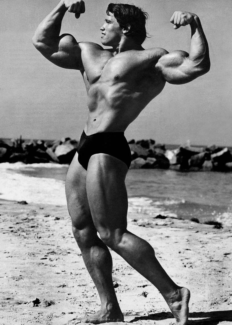 Arnold Schwarzenegger en photos - Page 12 Arnold18