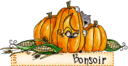 Photos échange fil d'automne 2015 Autmn210