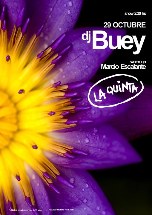 DJ BUEY - La Quinta, san luis (29.10.10) 33538_10