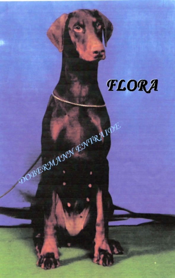 FLORA - URGENT (73) 00000010